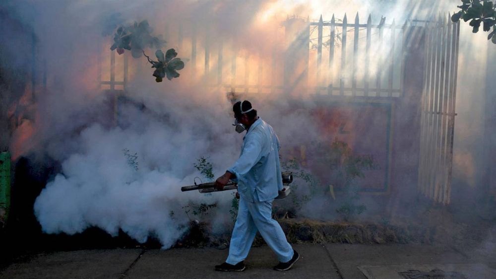 Un hombre muri� por dengue hemorr�gico en Misiones Es la primera v�ctima fata