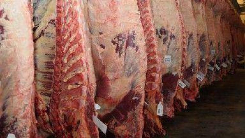 La carne vacuna crecer�a en la exportaci�n y la aviar y porcina en el mercado interno