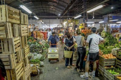Cofruthos: hay 30% de empleo ilegal