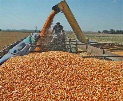 Fue r�cord en lo que va del a�o la liquidaci�n de d�lares del agro