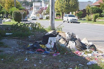 Alarmante incremento de los microbasurales a cielo abierto en Mar del Plata