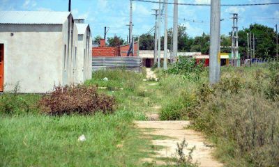 Preocupa el avance de los altos pastizales y obra de viviendas paralizada en el Rep�blica Argentina