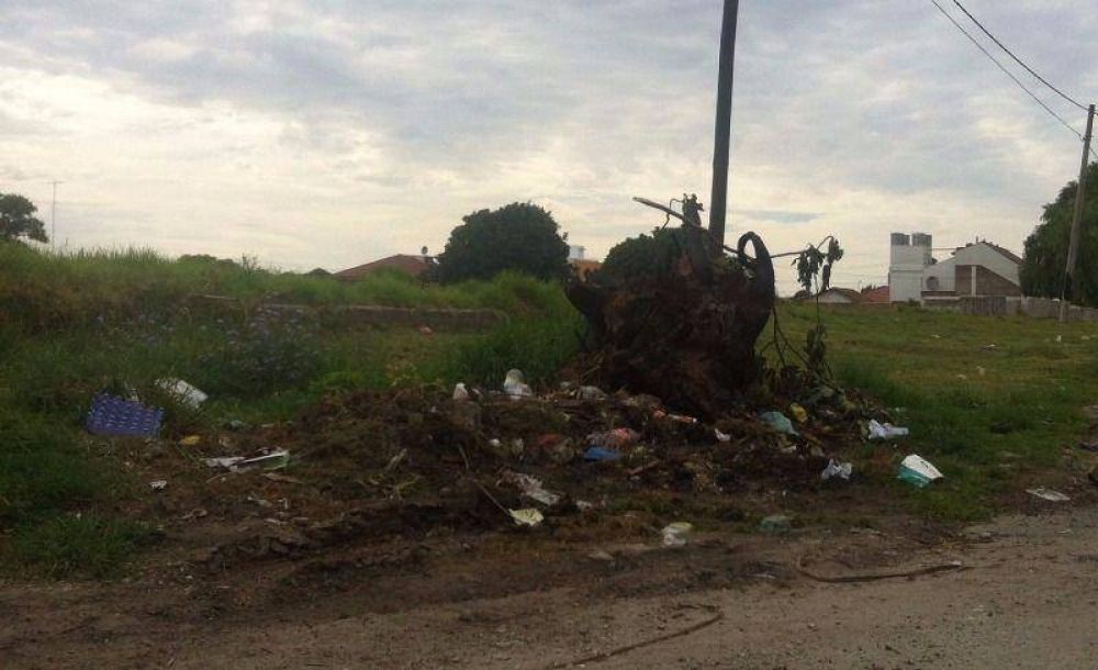 Iacusa: una historia de abandono y un complejo deportivo fantasma