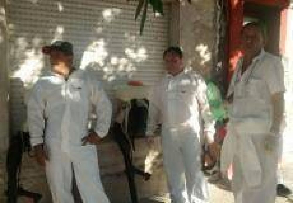 Dengue: Concejales piden al Ejecutivo que informe sobre acciones llevadas a cabo para controlar al mosquito