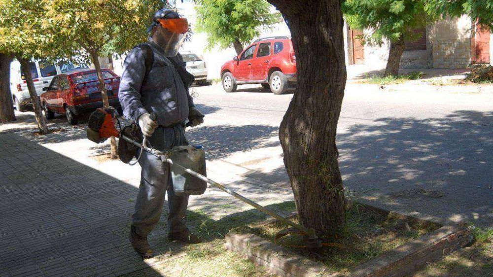 A 2 meses de la gesti�n de Gay, la limpieza es la principal queja de los bahienses