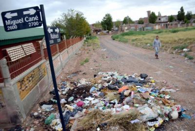Los microbasurales y los perros callejeros son una postal cotidiana en Cuenca XV
