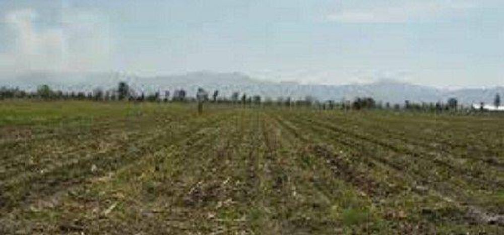 La agricultura del futuro ser� agroecol�gica