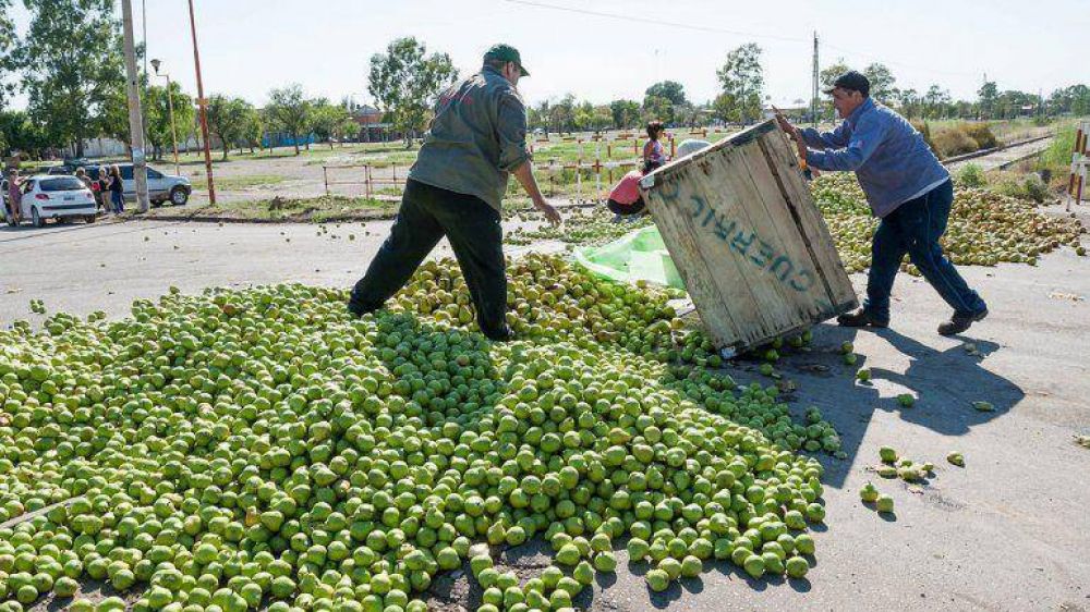 No lleg la plata y ahora van a tirar 1 milln de kilos de fruta