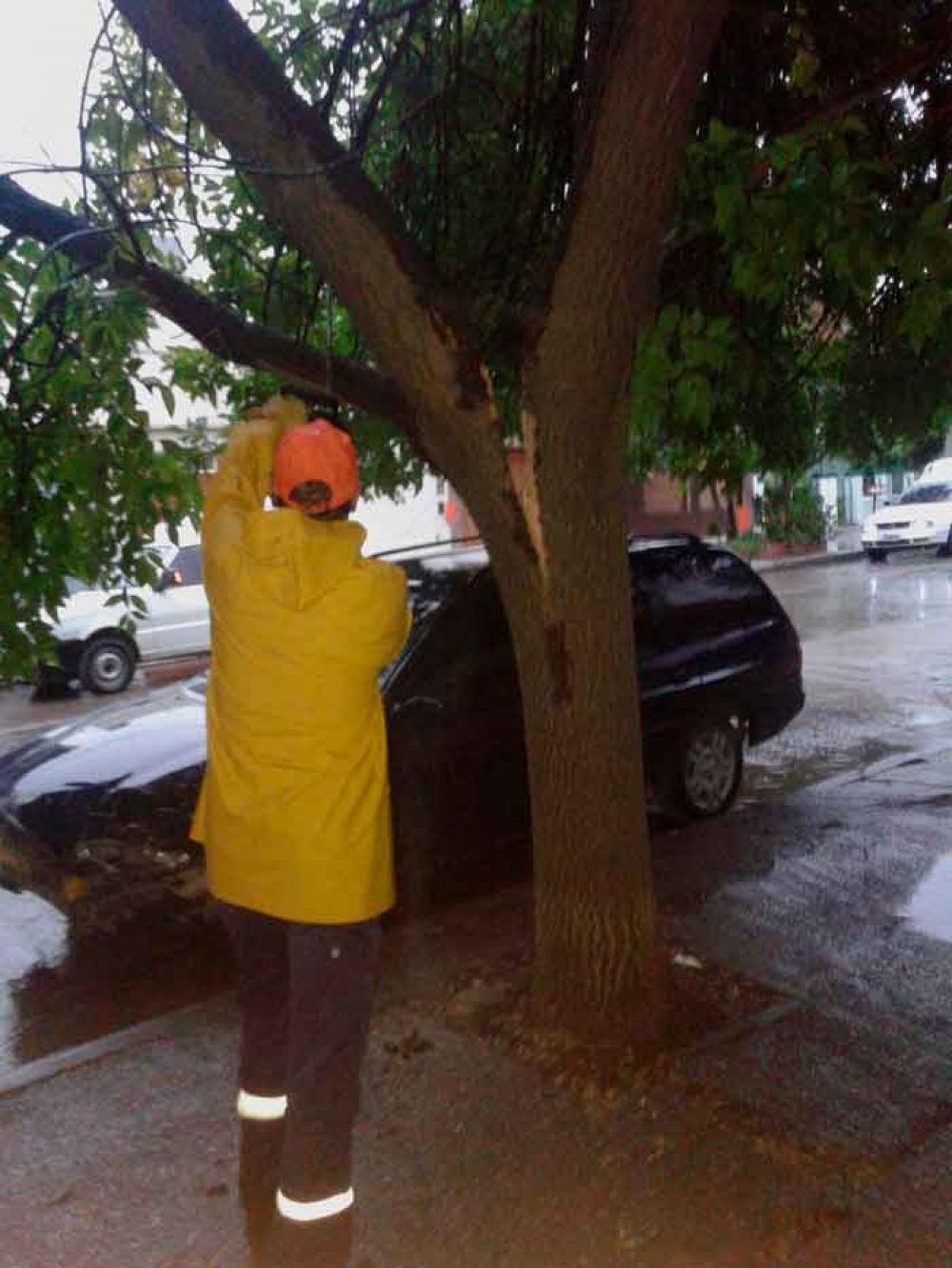 Cables cortados, postes ca�dos y barrios sin energ�a dej� la tormenta en Bah�a Blanca