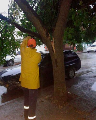 Cables cortados, postes ca�dos y barrios sin energ�a dej� la tormenta en Bah�a Blanca