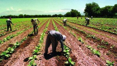 Los procesan por segunda vez en 14 meses por trata laboral en campos marplatenses