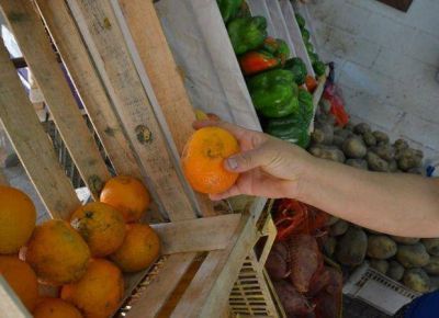 Verduler�as ya no venden naranjas por su alto costo