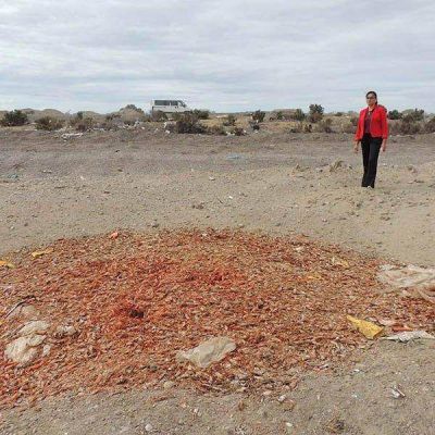 Descarga ilegal: grave denuncia contra el Municipio de Rawson