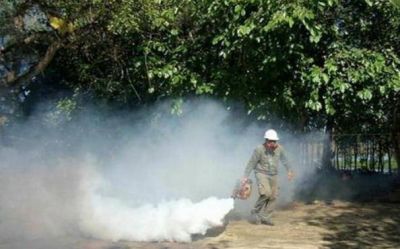 Virasoro: posponen la Fiesta del Mate por casos de dengue
