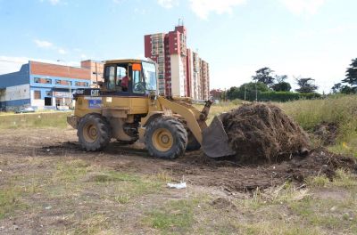 Ambicioso proyecto en el predio del ex Superdomo