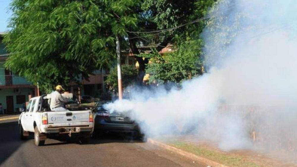 En Misiones ya se confirman ocho casos de dengue por hora