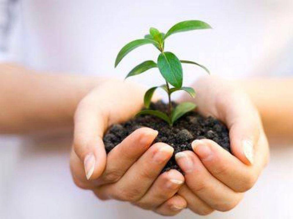 Presentan proyecto para plantar un �rbol por cada beb� nacido en Bariloche