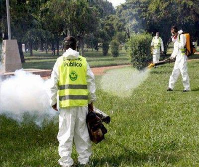 Dengue: piden la emergencia sanitaria