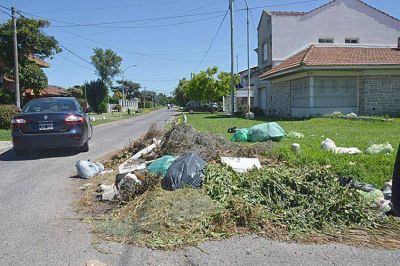 Los reclamos de los vecinos por la suciedad en las calles crecieron un 36%
