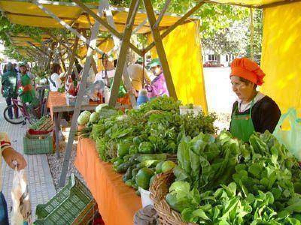La Feria Verde, 10 a�os de autogesti�n y trabajo comunitario