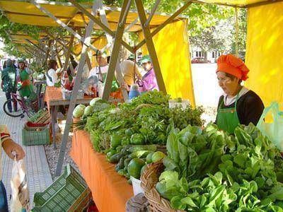 La Feria Verde, 10 a�os de autogesti�n y trabajo comunitario