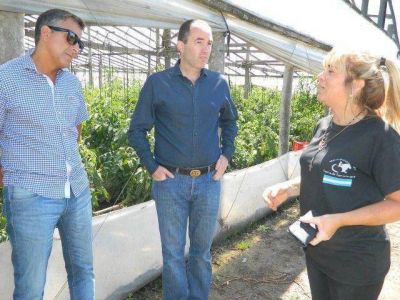 Piden que vuelva a funcionar el Consejo Municipal de Discapacidad