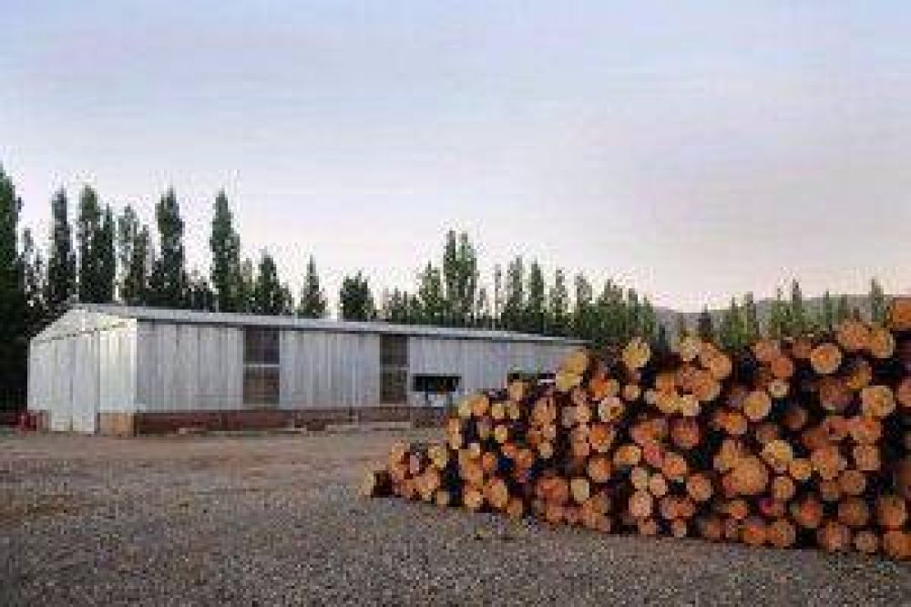 La construcci�n con madera, desde el Estado