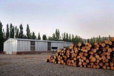 La construcci�n con madera, desde el Estado