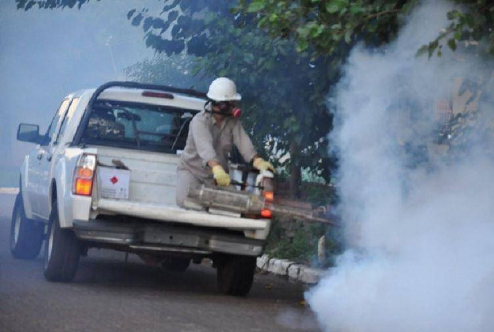 Confirman que hay 4.920 casos sospechosos de dengue en Misiones