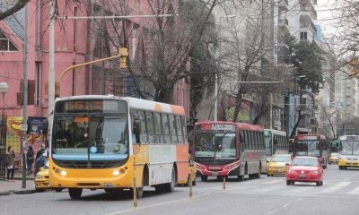 Transporte vuelve a encender el Concejo