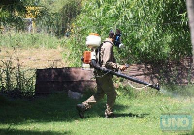 Confirmaron un caso de dengue aut�ctono en Entre R�os