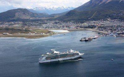 Alarma en Tierra del Fuego por una invasi�n de avispas carn�voras