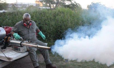 Confirman 15 nuevos casos de dengue