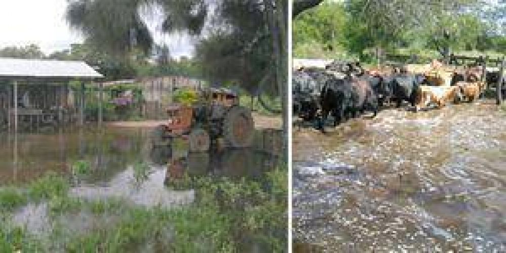 R�pida reacci�n del intendente redujo los efectos del desborde