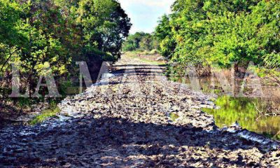 Barrio Laura Vicu�a: familias caminan m�s de 20 cuadras en busca de agua potable