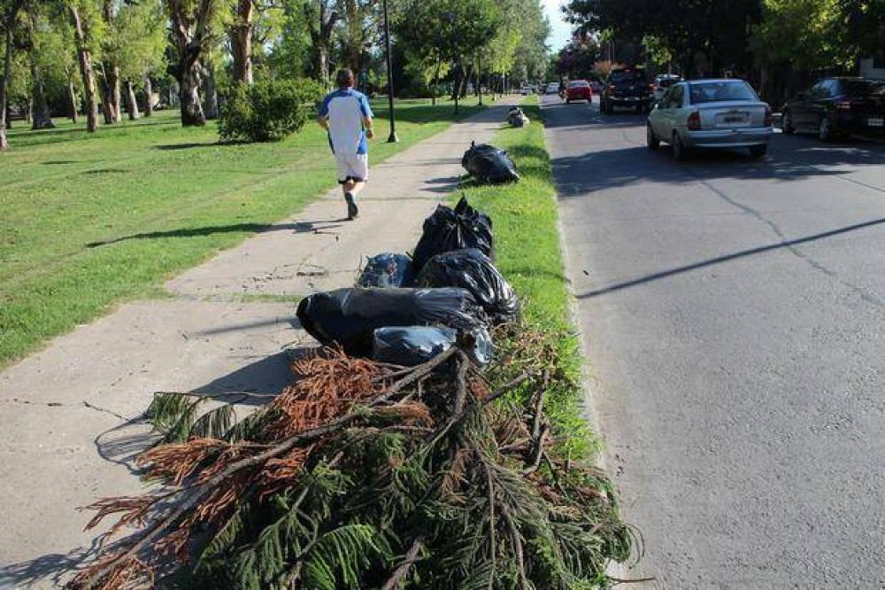 Crisis por la basura: en muchos barrios no recolectan las bolsas