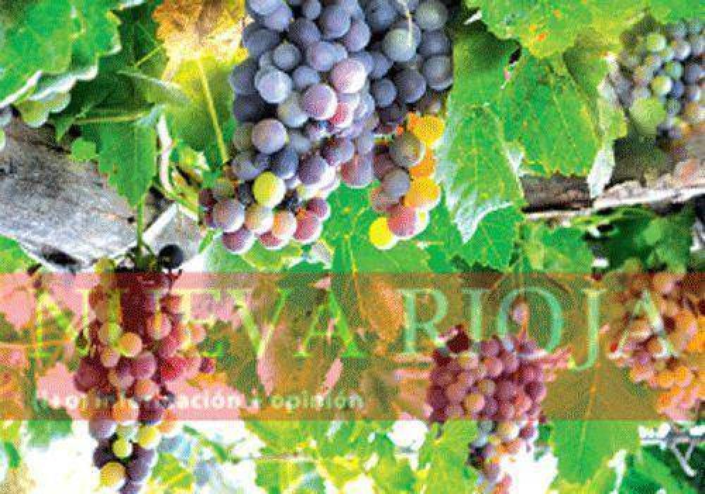 Imponen restricciones al ingreso de uva de Cuyo