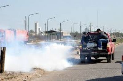 Cronograma de trabajos de fumigaci�n