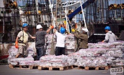 Para que los poteros vengan a Mar del Plata y no se vayan al sur, lanzan programa de incentivos