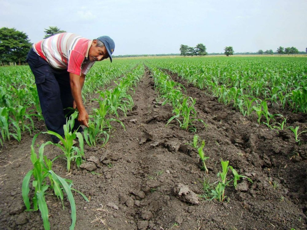 Entregan cr�ditos a tasa cero a productores de Chilecito