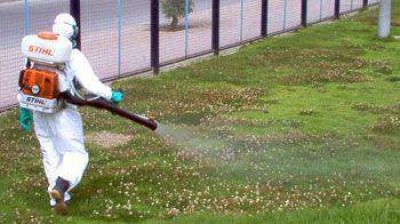 Se lleva a cabo un operativo de fumigaci�n a�rea