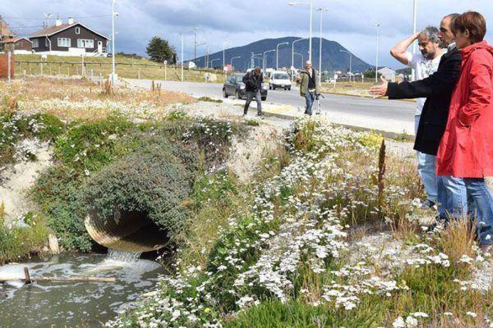 Carrasco destac� las acciones de remediaci�n de la DPOSS