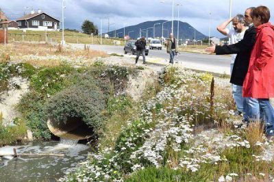 Carrasco destac� las acciones de remediaci�n de la DPOSS