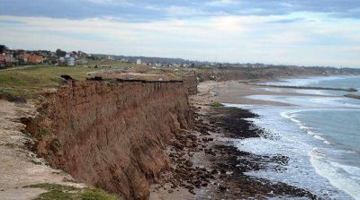 Otro hallazgo palentol�gico en Mar del Plata