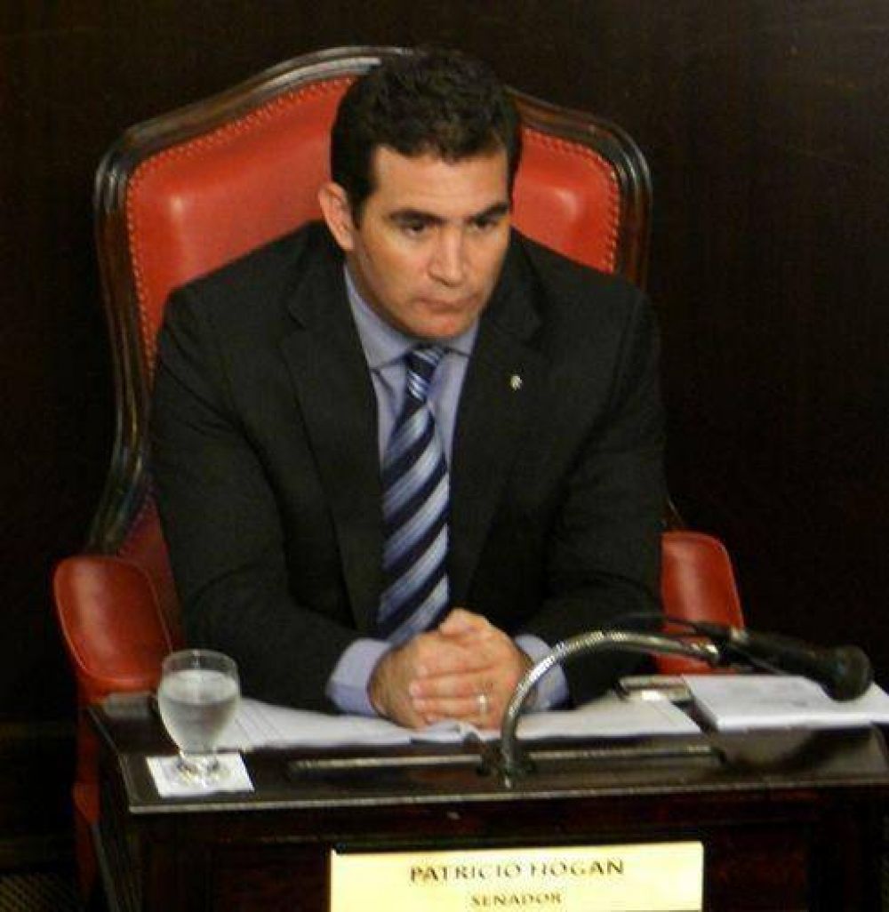 Proyecto de ley del senador Hogan para la reinserci�n social de menores institucionalizados