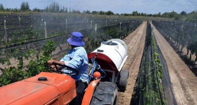 Agroqu�micos suben hasta 200% en Mendoza