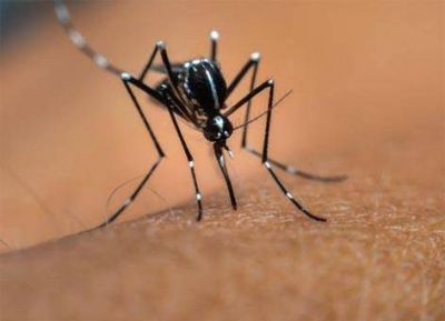 Confirman segundo caso de dengue en el distrito