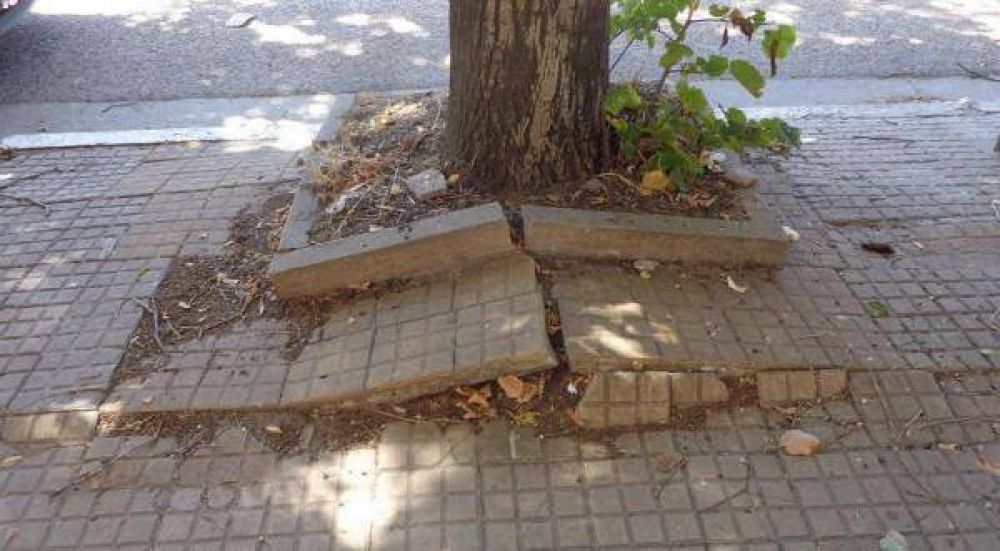 Preocupante situaci�n de veredas en nuestra ciudad