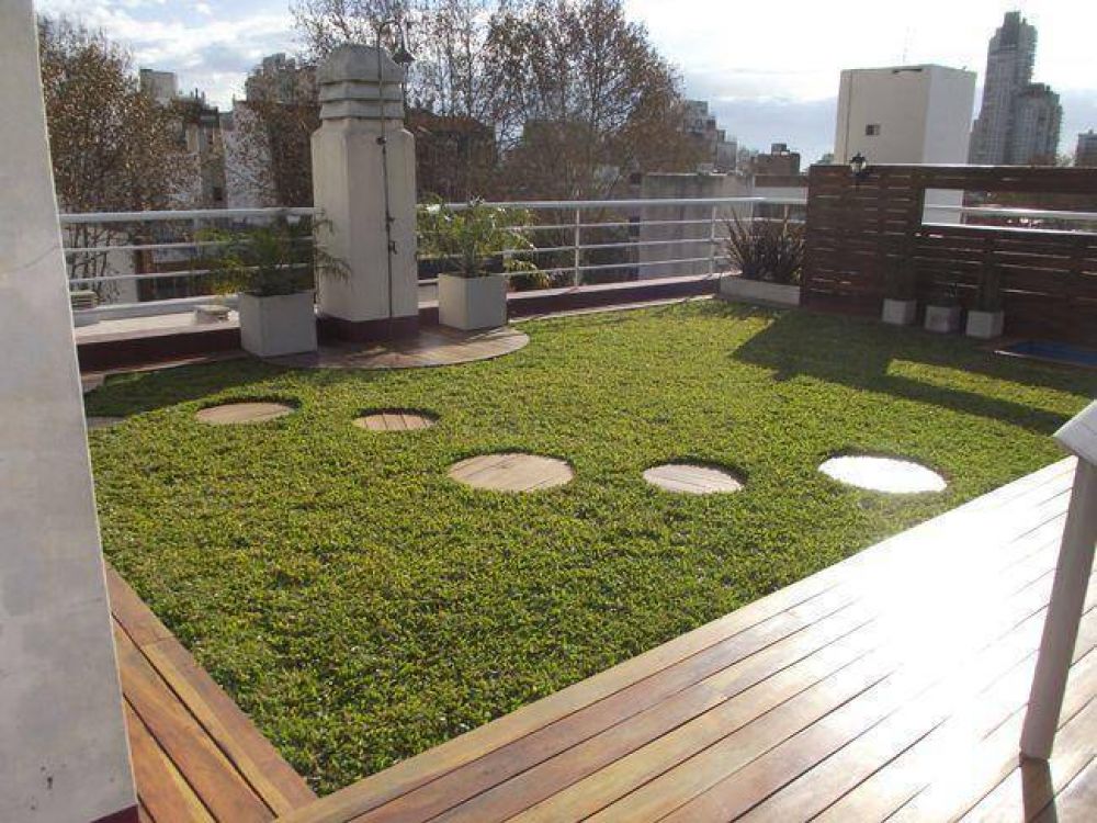 Promueven �Techos, Terrazas y Paredes Verdes�