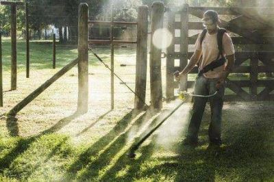 Promesa que empieza a cumplirse: regulaci�n de terrenos descuidados